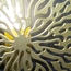 Бра ImperiumLight Dandelion 416110.12.12, изображение 5