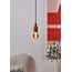 Eglo Bulb lightbulb E27 110198, изображение 6