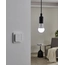Eglo Bulb lightbulb E27 110314, зображення 5