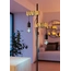 Eglo Bulb lightbulb E27 110315, зображення 7