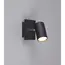 Спот TRIO 802400132 MARLEY