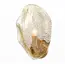 Item W01371BR