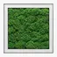 Люстра Imperium Light ANDER WITH FLAT MOSS 585150.05.72.92, зображення 5