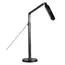 Торшер Goldlux 325006 Ferrara Led 1x13W 3000K-6000K 700Lm IP20 Bk, изображение 5