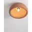 Стельовий світильник Nova Luce DAVO 9003677, изображение 5