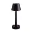 Настільна лампа Zuma Line COLOR ETLED-642-BK LED 0,5W 3000K