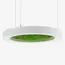 Люстра Imperium Light WHEEL WITH BUN MOSS 62716002.01.70.92