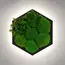 Бра Imperium Light FELIZELI FERN 79112602.05.71.93