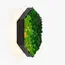 Бра Imperium Light FELIZELI REINDEER MOSS 78513603.05.99.93, зображення 6