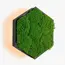 Бра Imperium Light FELIZELI FLAT MOSS 78713001.05.70.91, зображення 4