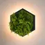 Бра Imperium Light FELIZELI FERN 79111803.05.70.91
