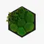 Бра Imperium Light FELIZELI FERN 79112402.05.71.92, изображение 3