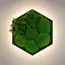 Бра Imperium Light FELIZELI FERN 79112402.05.71.92
