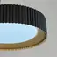 Люстра Linef 1905 1905P-480 BK+Wood, зображення 4