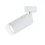 Реклама FOCUS Friendlylight 95207439