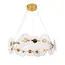 Люстра 8036103-16led (750) FGD