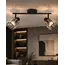 Світильник поворотний, спот Goldlux 343994 Alanya E14 2x10W IP20 чорний, изображение 2
