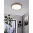 Потолочный светильник Eglo MUSURITA 98602, изображение 2