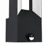 Вуличний світильник Eglo RIFORANO 98726 Sensor, зображення 3