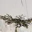 Люстра Linef 33123 33123-600, зображення 5