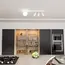 Потолочный светильник EMIBIG Lighting BASTER 1315/4, изображение 5
